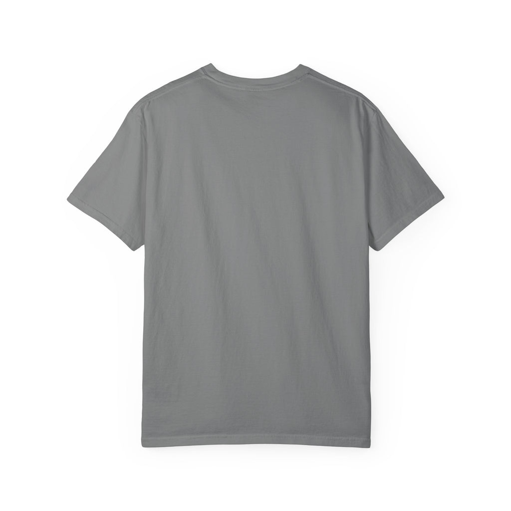 Protect The Pod Orca T-Shirt — Marine Conservation Comfort Colors T Shirt
