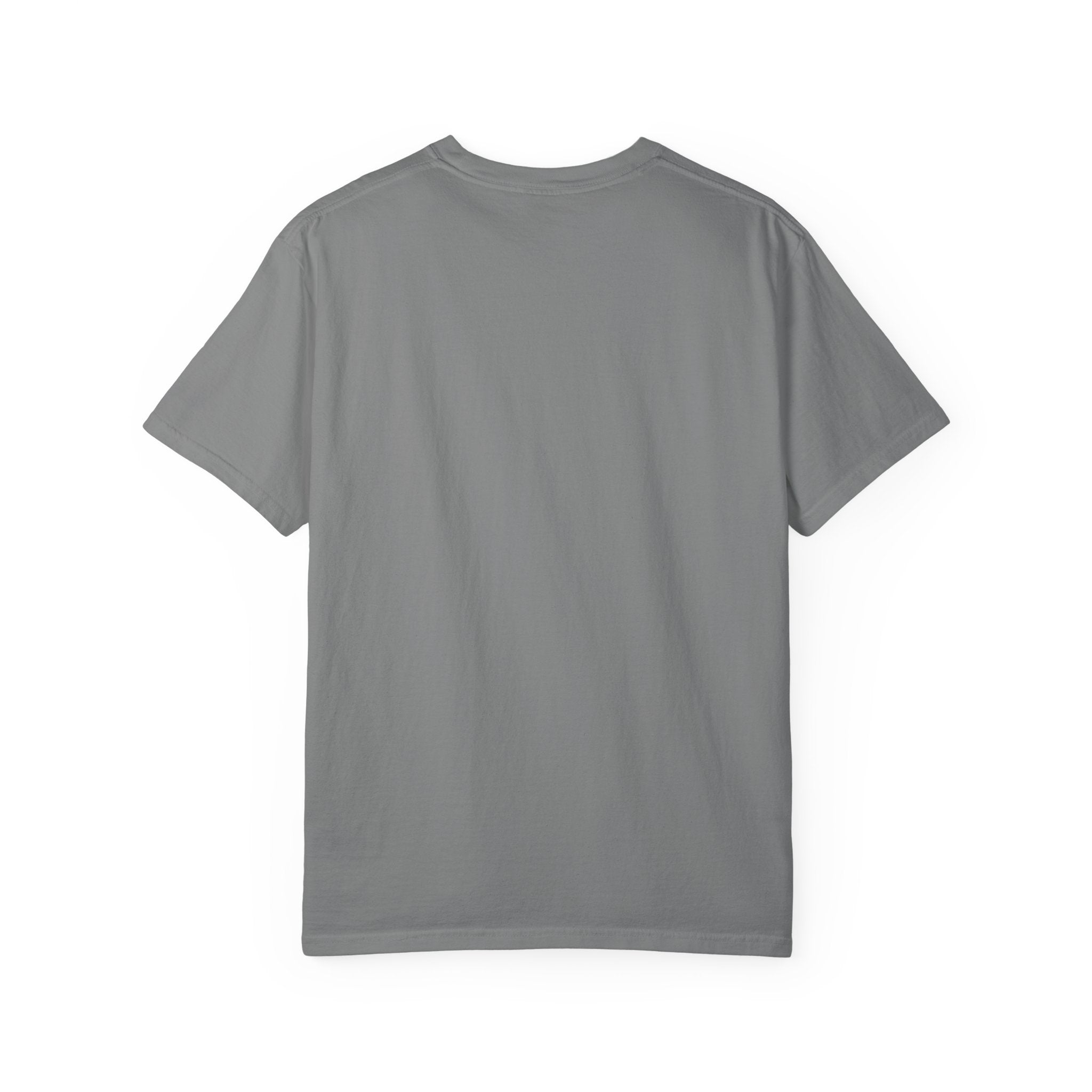Protect The Pod Orca T-Shirt — Marine Conservation Comfort Colors T Shirt