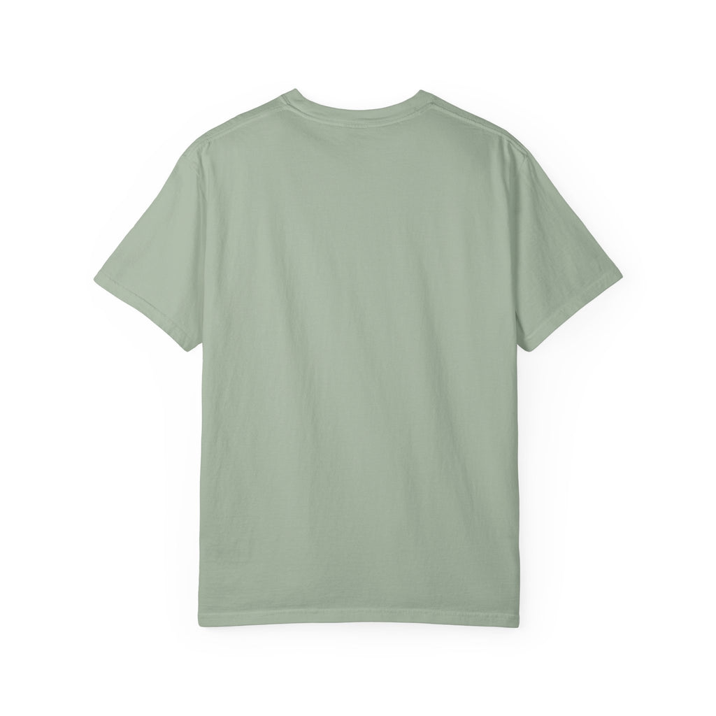Protect The Pod Orca T-Shirt — Marine Conservation Comfort Colors T Shirt